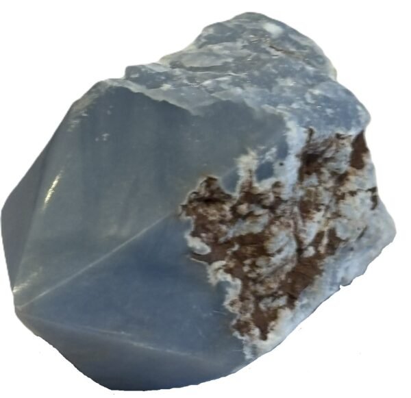 Natural rough angelite freeform with polished point 3 sians emporium Natural rough angelite freeform crystal with unpolished sides and a smooth polished blue point standing on a white background